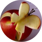 Photo Marie Cazaubon