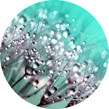 Photo Marie-christine Lacombe Jacob