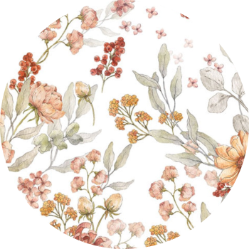 Photo Madisson Morel