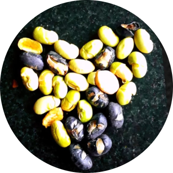 Photo de Ludivine Brebois