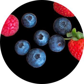 Photo Aurélie Reynaud