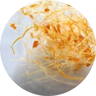 Photo Céline Girardi